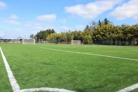 Cancha de fútbol de pasto sintético de Sport One en Temuco con arcos y árboles de fondo