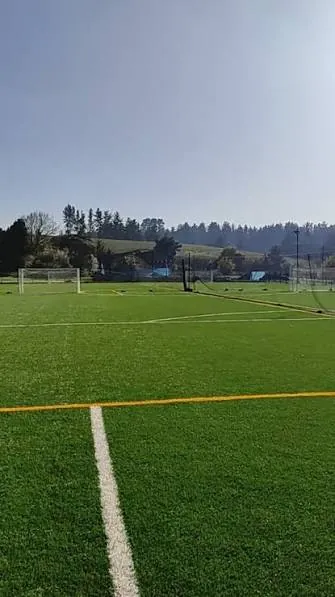 Canchas de pasto sintético de Sport One Temuco rodeadas del entorno verde de La Araucanía